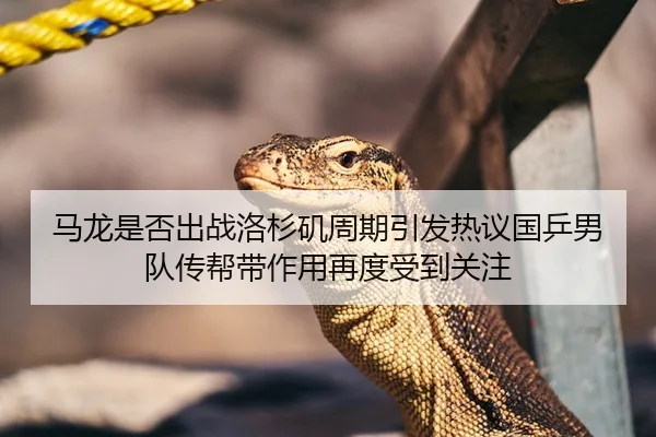 马龙是否出战洛杉矶周期引发热议国乒男队传帮带作用再度受到关注
